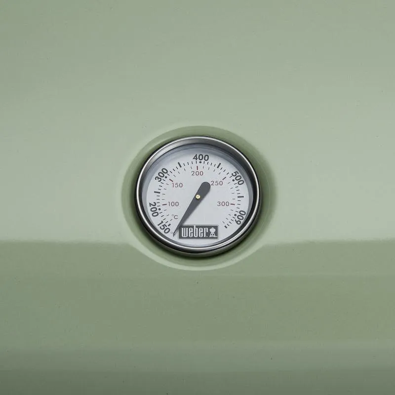Lumin Compact Electric Grill - Seafoam Green