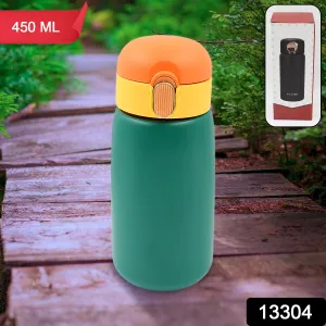 Stainless Steel Water Bottle (450 Ml)
